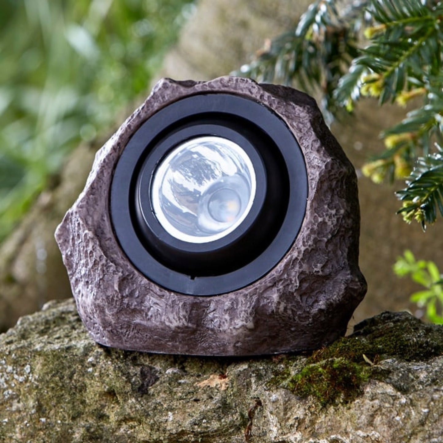 Rocks - versteckte Lichter